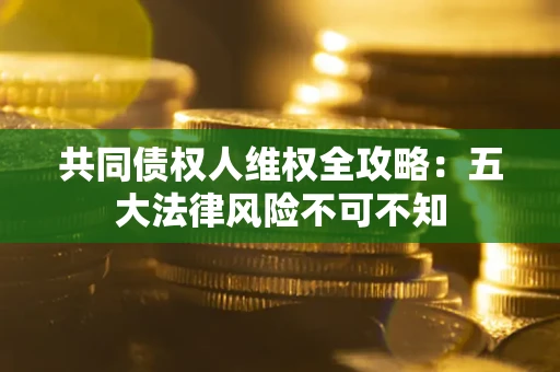 武汉共同债权人维权全攻略：五大法律风险不可不知