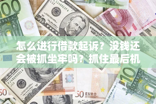 武汉怎么进行借款起诉？没钱还会被抓坐牢吗？抓住最后机会！