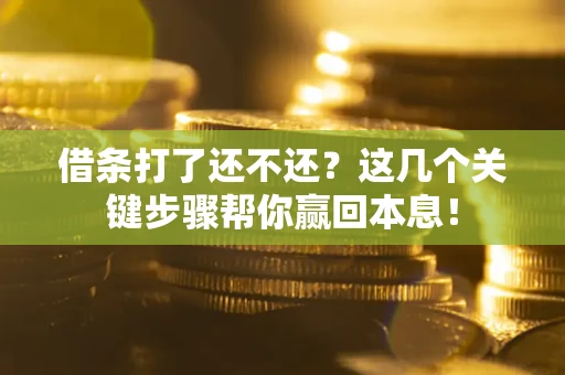 武汉借条打了还不还？这几个关键步骤帮你赢回本息！