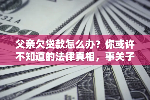 武汉父亲欠贷款怎么办？你或许不知道的法律真相，事关子女未来