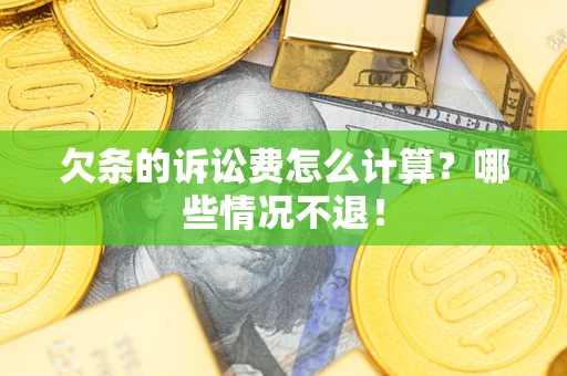 武汉欠条的诉讼费怎么计算？哪些情况不退！