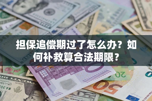 武汉担保追偿期过了怎么办？如何补救算合法期限？