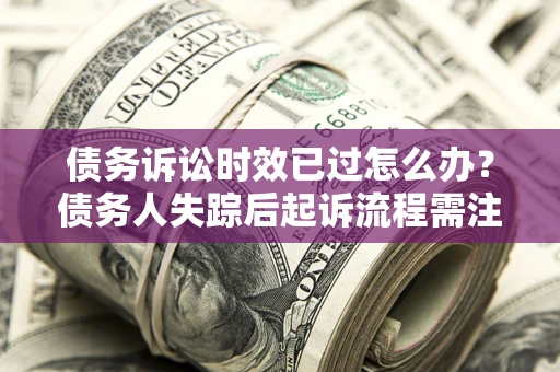 武汉债务诉讼时效已过怎么办？债务人失踪后起诉流程需注意什么？