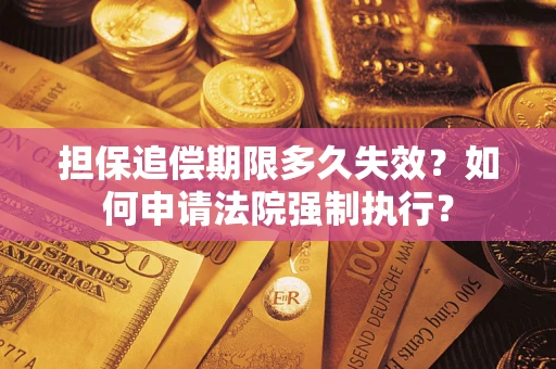 武汉担保追偿期限多久失效？如何申请法院强制执行？