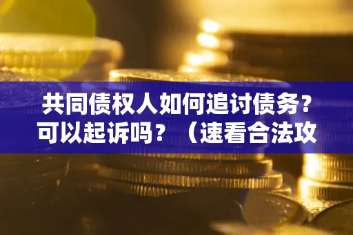 武汉共同债权人如何追讨债务？可以起诉吗？（速看合法攻略）