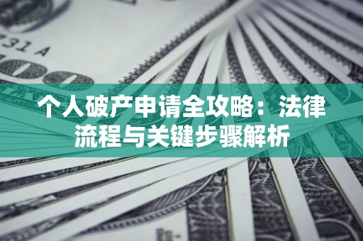 武汉个人破产申请全攻略：法律流程与关键步骤解析