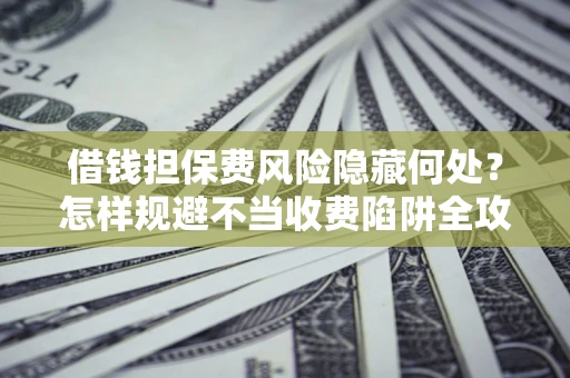 武汉借钱担保费风险隐藏何处？怎样规避不当收费陷阱全攻略！